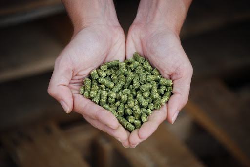 Buy Alfalfa Pellets Online ,Dehydrated Alfalfa Meal Pellets for sale