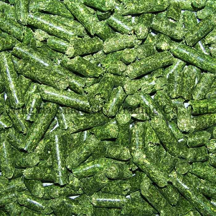 Buy Alfalfa Pellets Online ,Dehydrated Alfalfa Meal Pellets for sale