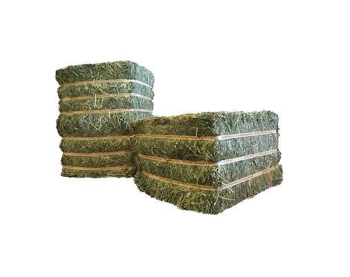 Dehydrated Alfalfa For Sale ,Buy Quality Dehydrated Alfalfa hay