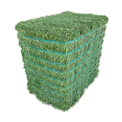 Quality Alfalfa Hay In Bales , Alfalfa Hay For Sale Online