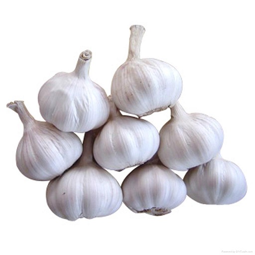 Buy White Fresh Garlic Online ,White Fresh Garlic for Canada