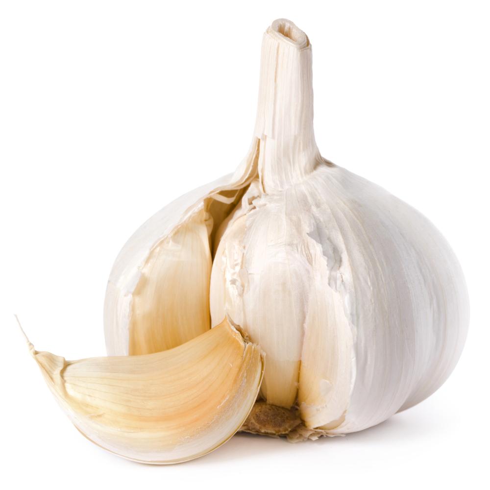 White Fresh Garlic for Sale