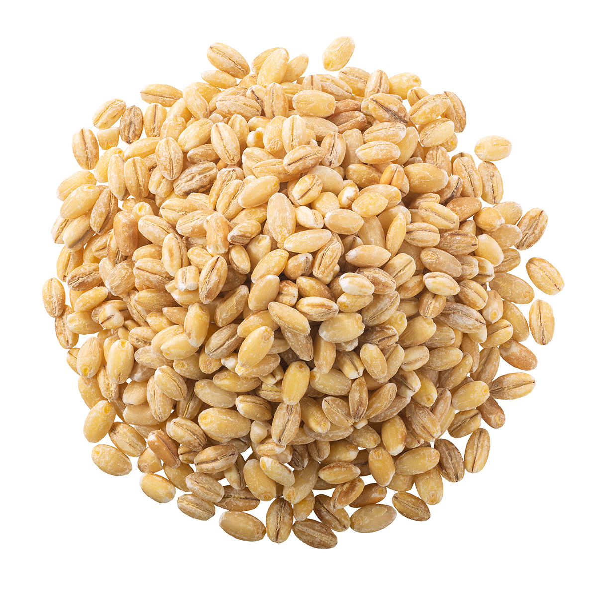 Buy barley grain ,Buy feed barley online